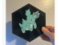 Cuadro Hexagonal de Nidorina