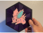 Cuadro Hexagonal de Nidoran