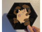 Cuadro Hexagonal de Primeape