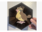 Cuadro Hexagonal de Pidgey
