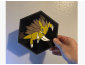 Cuadro Hexagonal de Sandslash