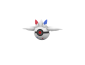 PokeBall de Togekiss Impresa en 3D